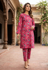 2 Pcs Ladies Suit Des 126