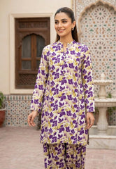 2 Pcs Ladies Suit Des 102