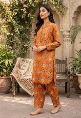 2 Pcs Ladies Suit Des 132