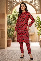 2 Pcs Ladies Suit  Des  1116