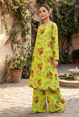 2 Pcs Ladies Suit  Des  111