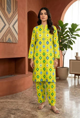 2 Pcs Ladies Suit  Des  112