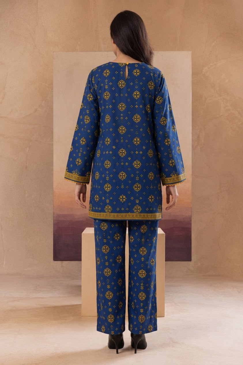 2 Pcs Ladies Suit  Des  13