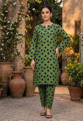 2 Pcs Ladies Suit  Des  119
