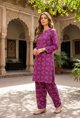 2 Pcs Ladies Suit  Des  122