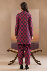 2 Pcs Ladies Suit  Des  26