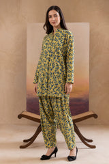 2 Pcs Ladies Suit  Des  30