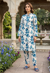 2 Pcs Ladies Suit  Des  133