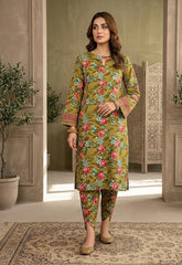 2 Pcs Ladies Suit  Des  134