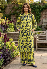 2 Pcs Ladies Suit  Des  191