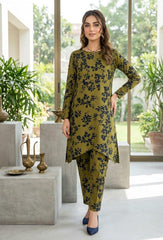 2 Pcs Ladies Suit  Des  193